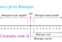 Jenis bilangan